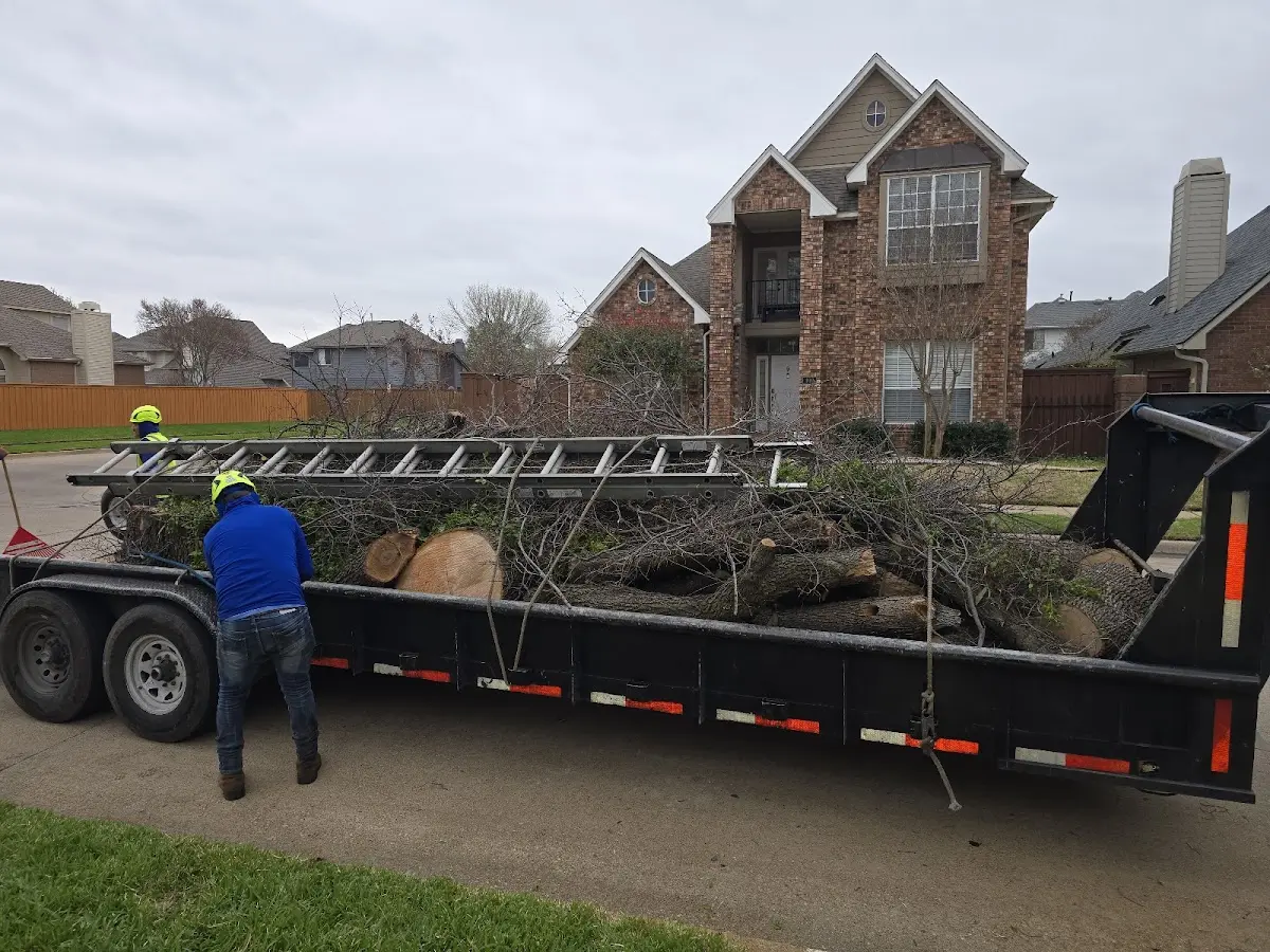Expert Crown Reduction with proper safety equipment in Greencreek